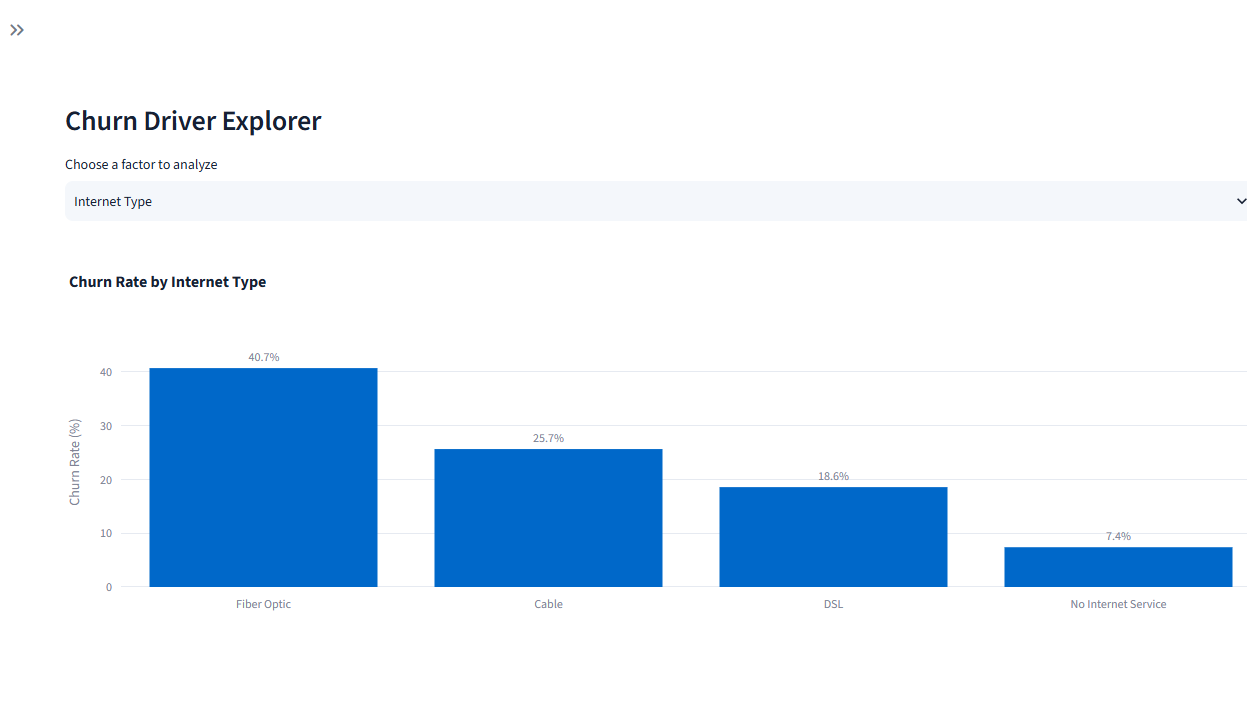 Churn driver explorer